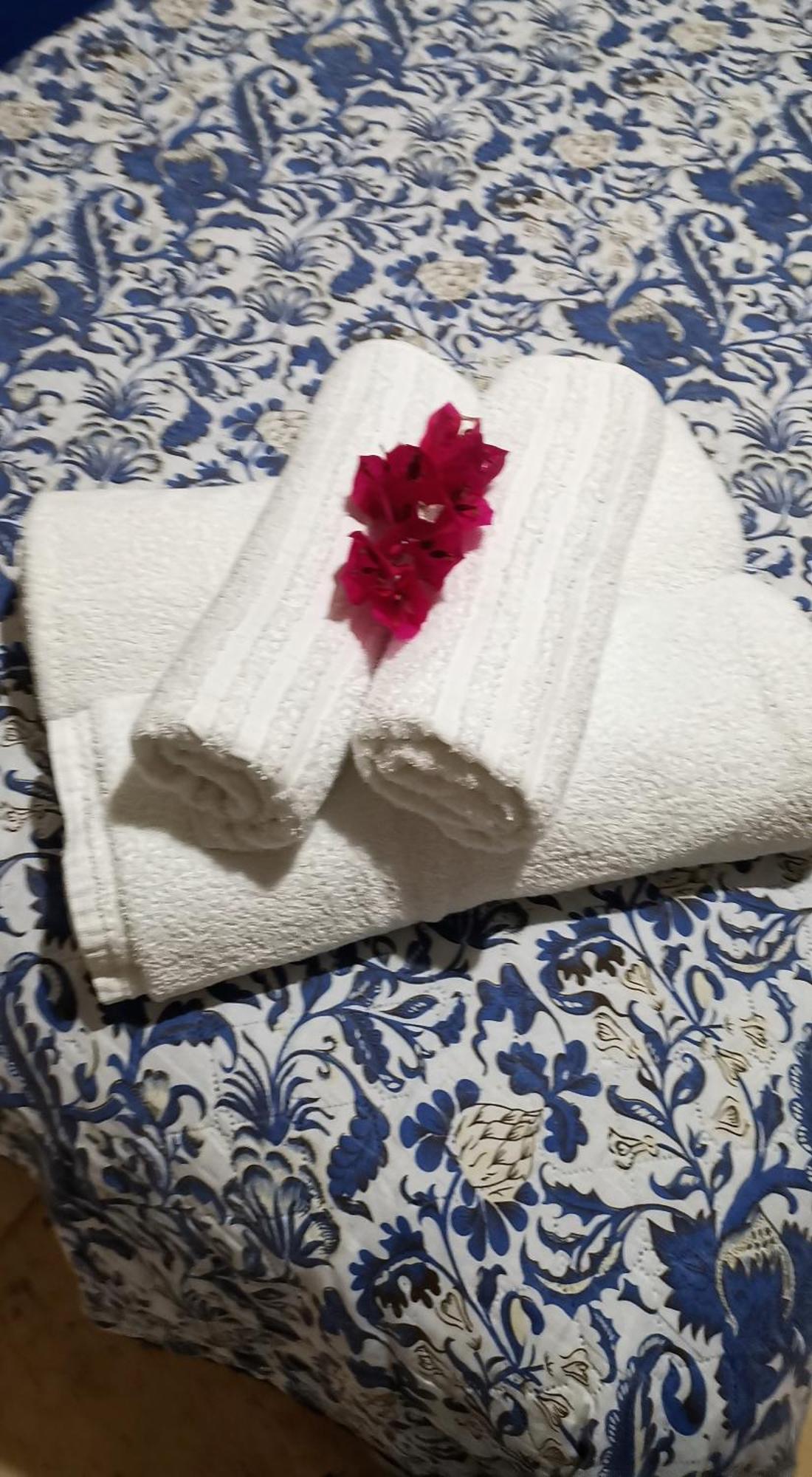 Vila Emanuelle Pousada Boutique 상 미구엘 도 고스토조 외부 사진